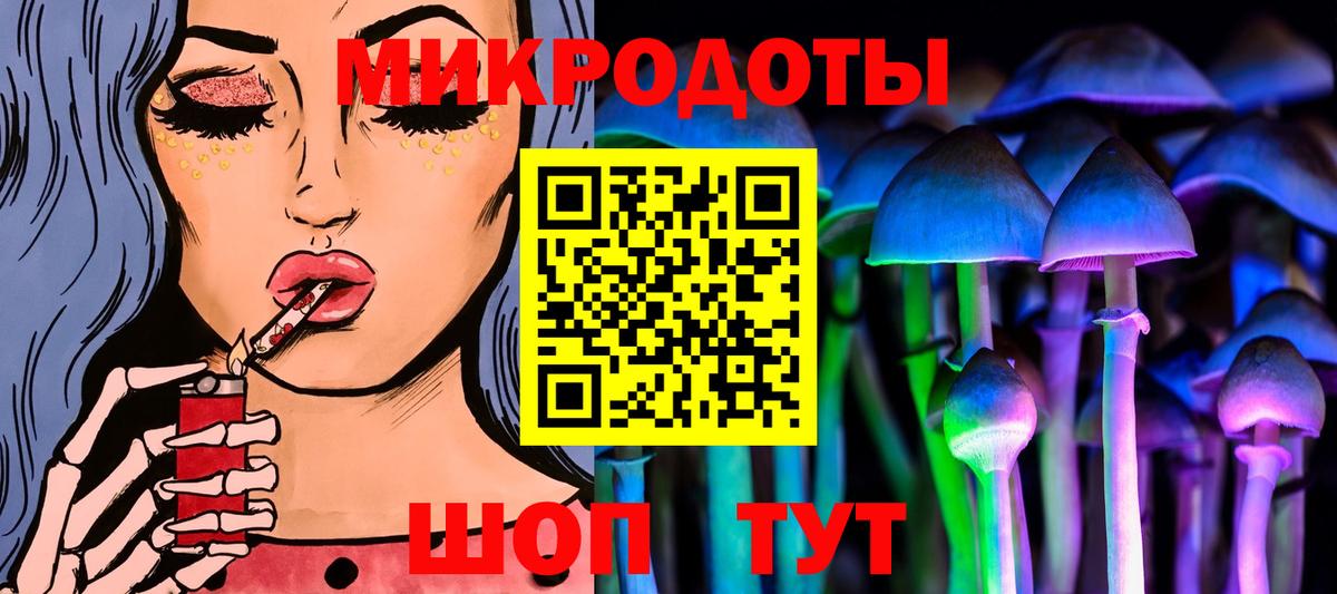 Галлюциногенные грибы Psilocybe  Вход с VPN  Мончегорск 